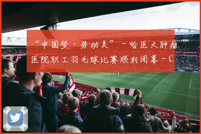 “中国梦·劳动美” - 哈医大肿瘤医院职工羽毛球比赛顺利闭幕 - Copy (11)