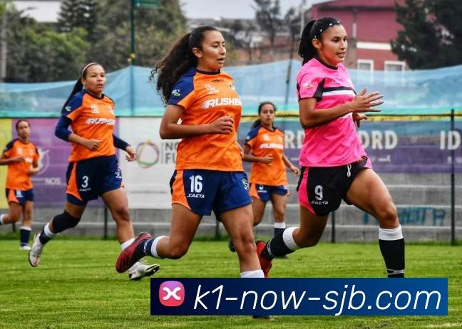 K1即时，K1官网，K1体育实时比分，K1移动端品牌故事